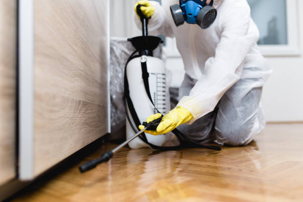 Best Mosquito Control Services  in Las Palmas Ii, TX