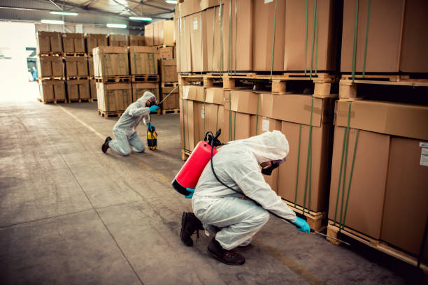 Best Emergency Pest Control  in Las Palmas Ii, TX