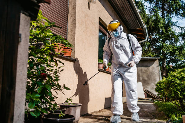 Flea Control Services in Las Palmas Ii, TX