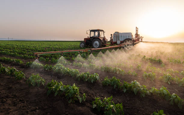 Best Commercial Pest Control Services  in Las Palmas Ii, TX