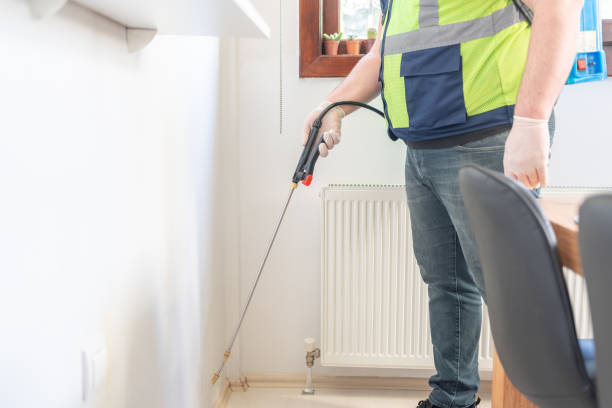 Wasp Removal Services in Las Palmas Ii, TX
