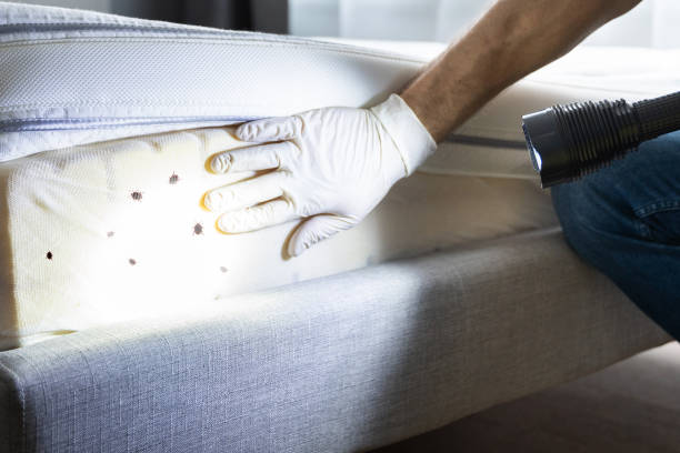  Las Palmas Ii, TX Pest Control Pros