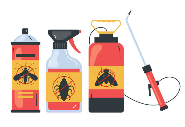 Best Affordable Pest Control Services  in Las Palmas Ii, TX
