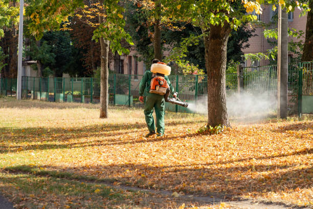 Best Wildlife Control Services  in Las Palmas Ii, TX