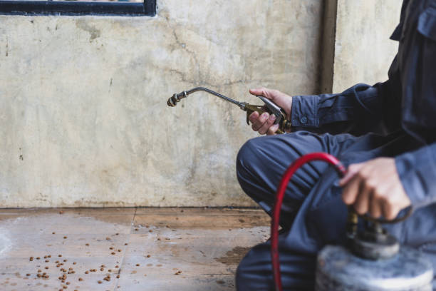 Best Exterminator Services  in Las Palmas Ii, TX